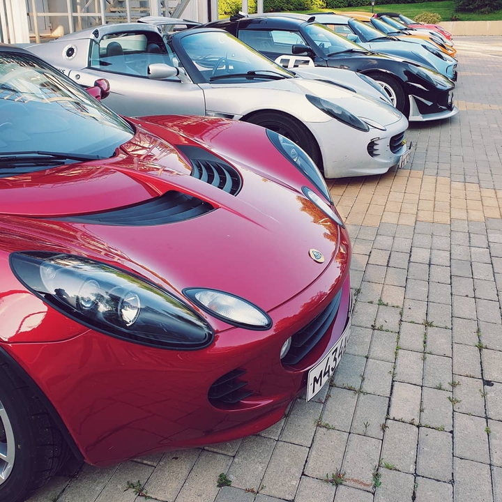 Lotus