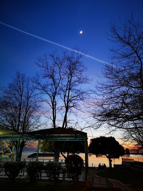 Under the moon