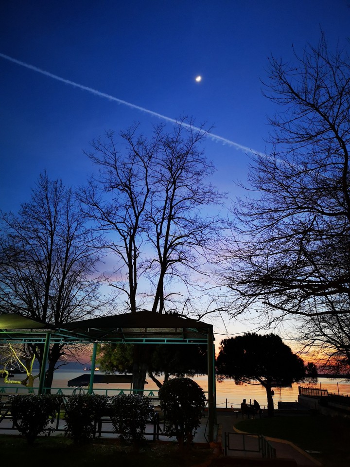 Under the moon