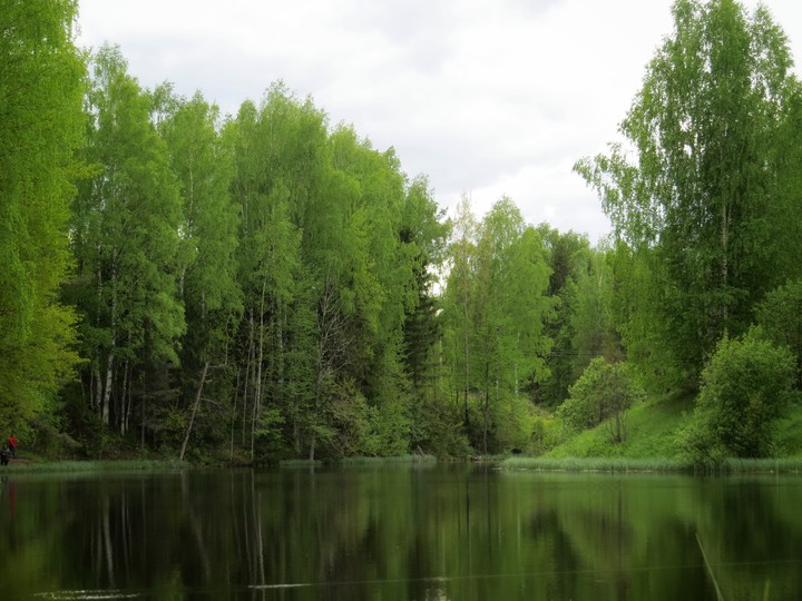 Лесное озеро