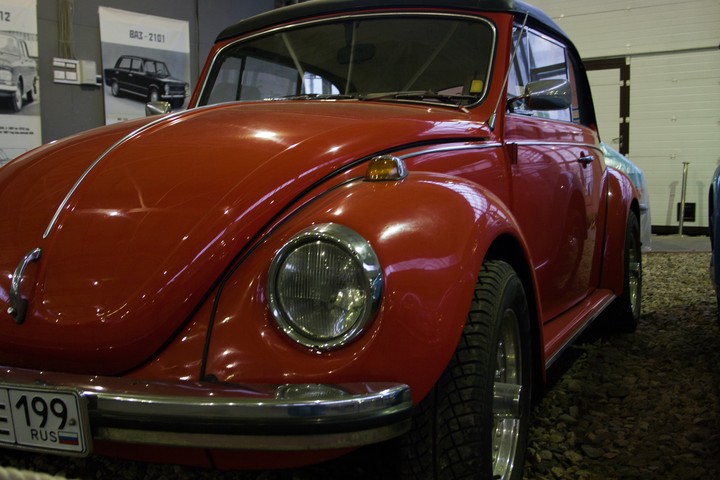 Red Beetle