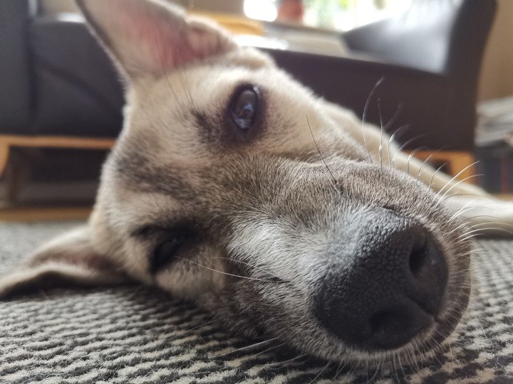 my❤️