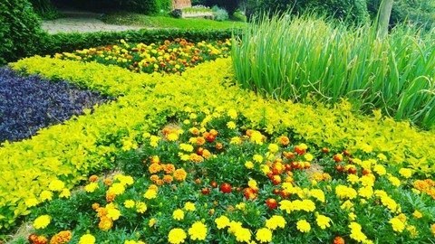 Parque Amantikir