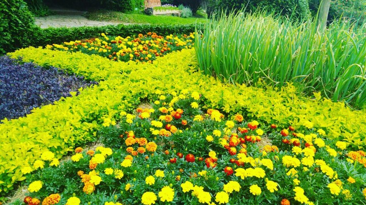Parque Amantikir