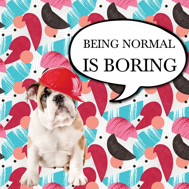 Being normal is boring