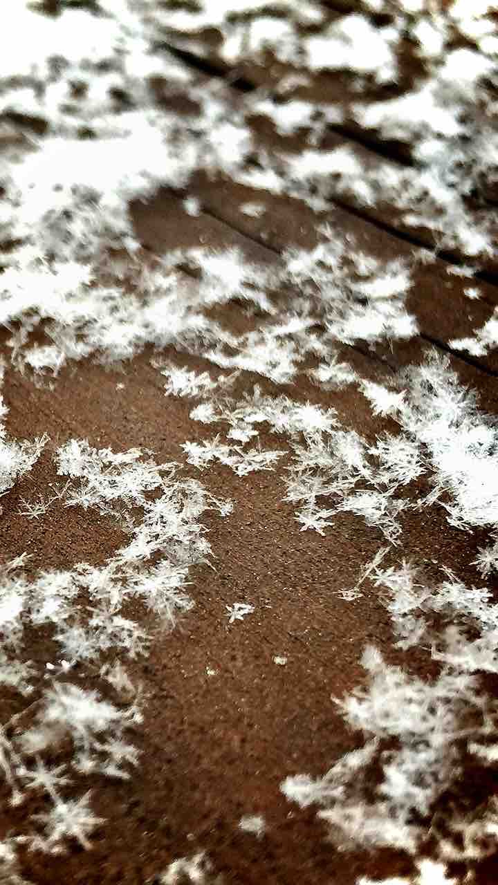 Crystal of snow