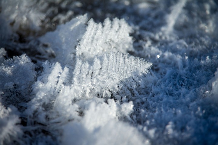 macro