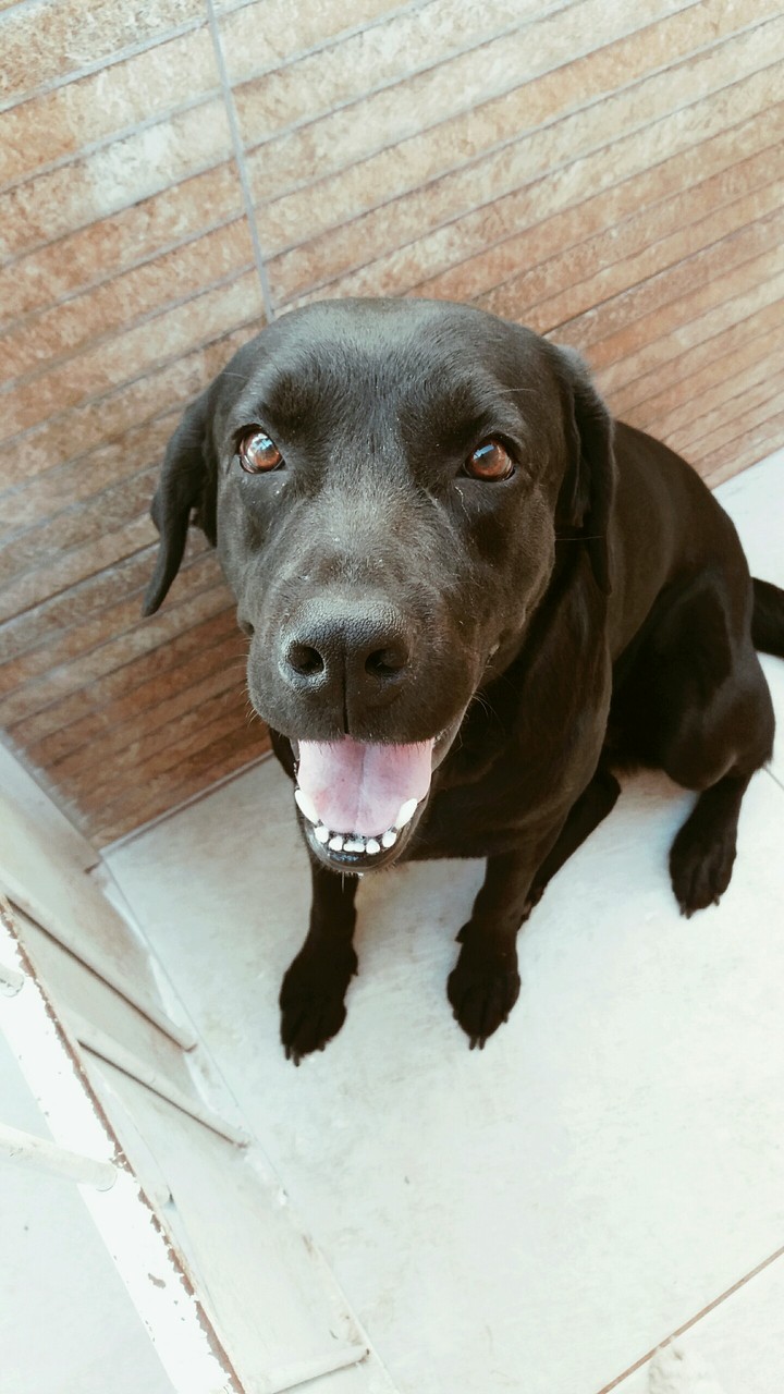 Lua ♡♡