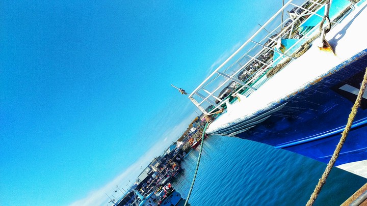 Sunny day