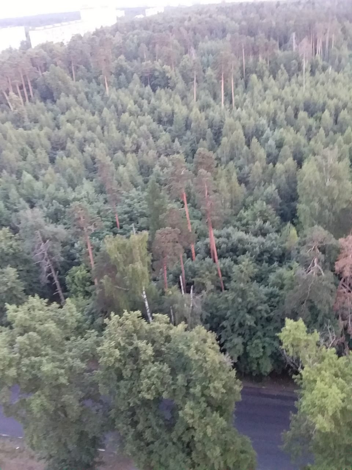авгу?ст