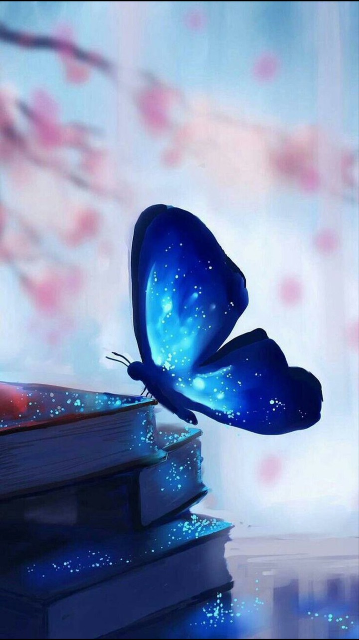 butterfly