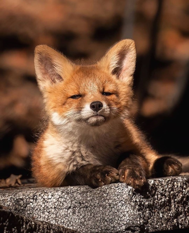#cute