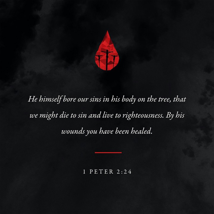 1 Peter 2:24