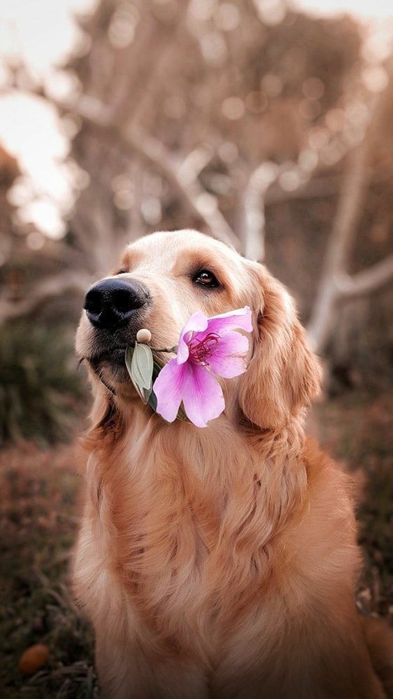 Happy Valentine's day to everyone
