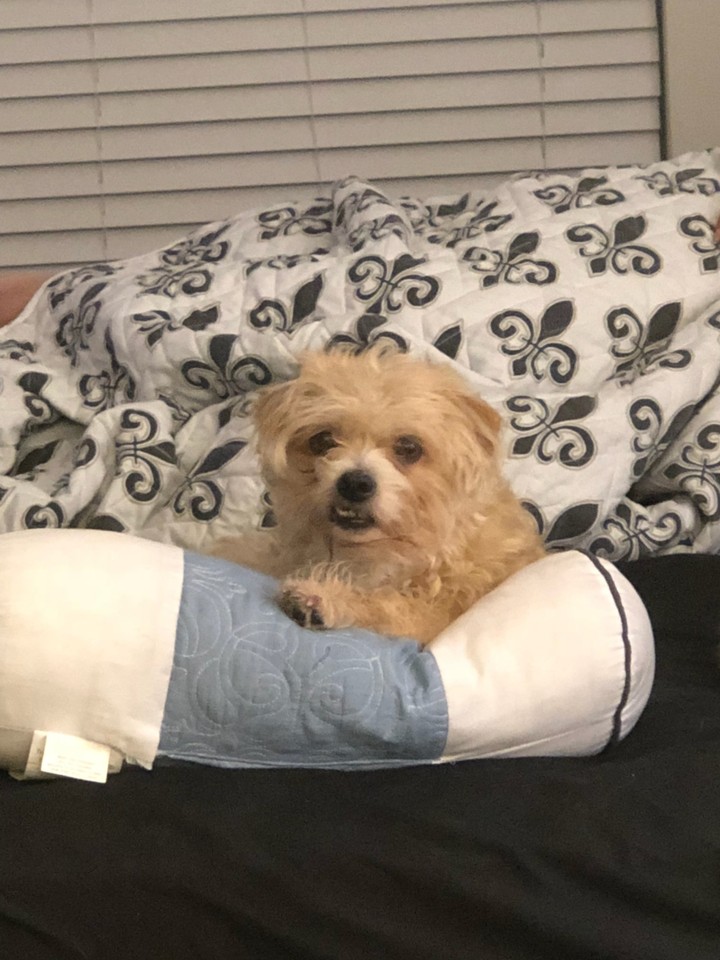 Maggie