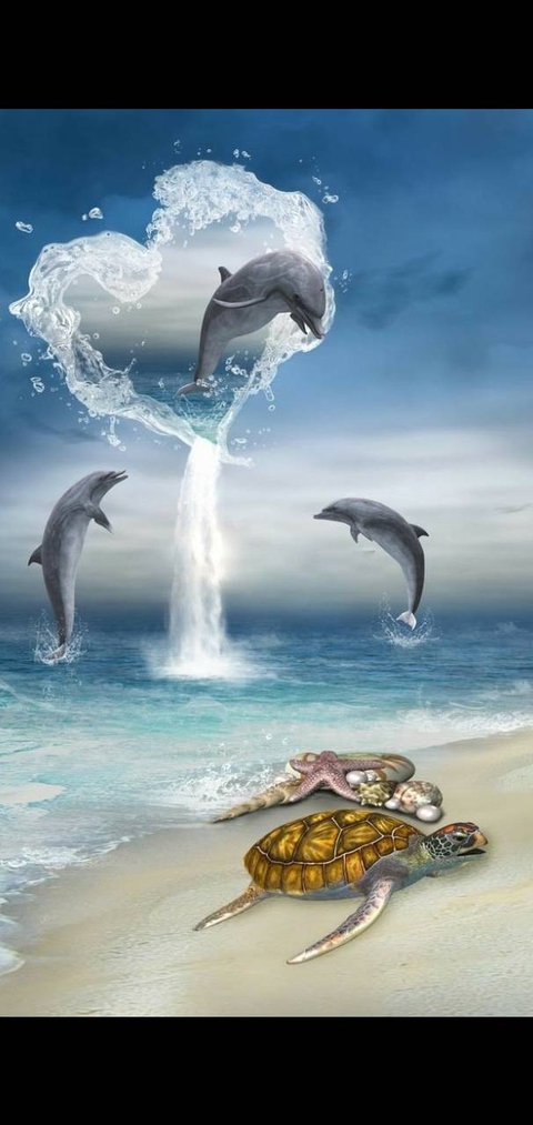 tapety cetacea, Water