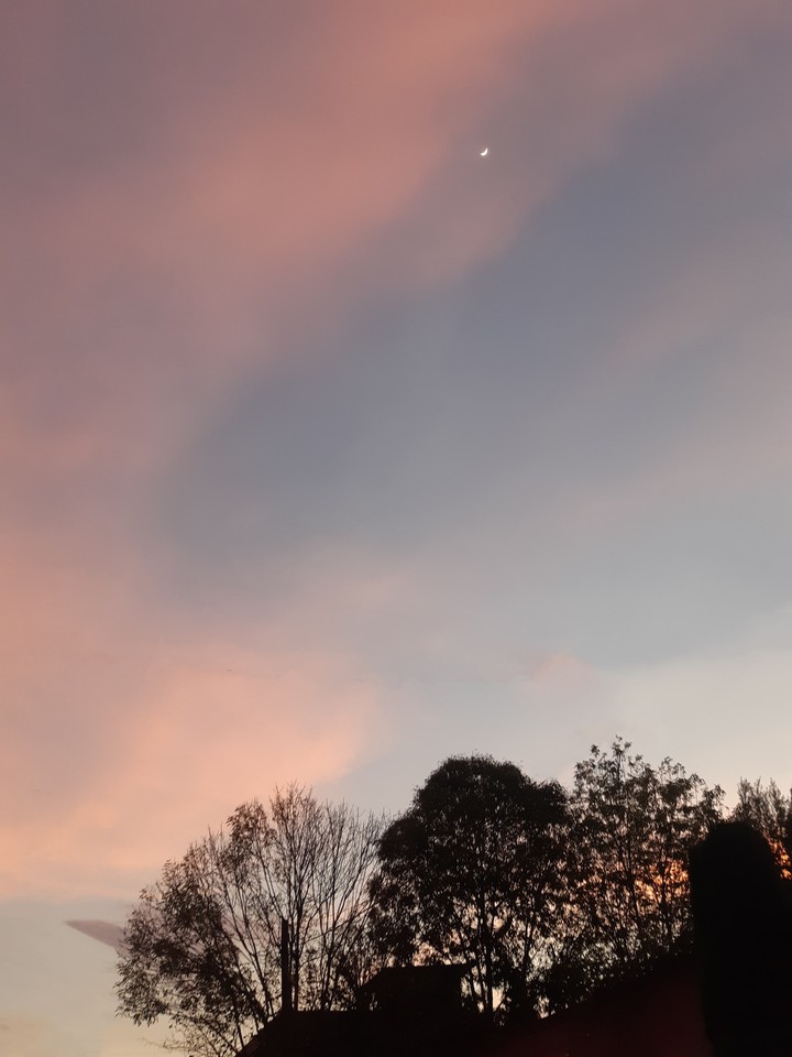 cielo