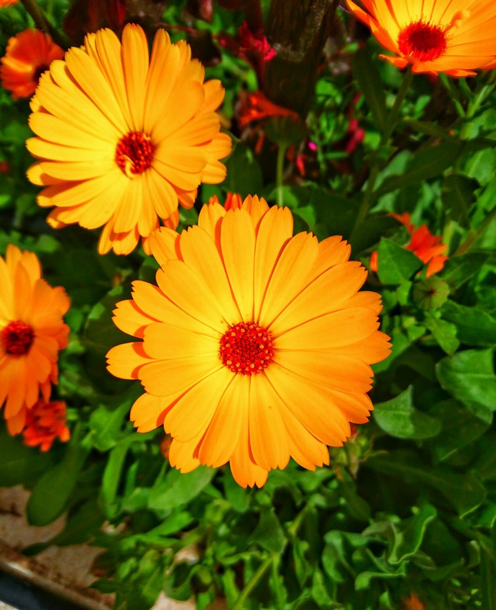 for you