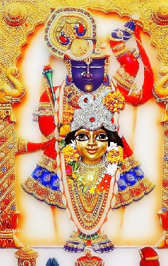 Shreeji