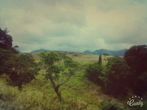 matale,srilanka