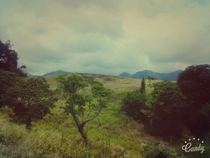 matale,srilanka