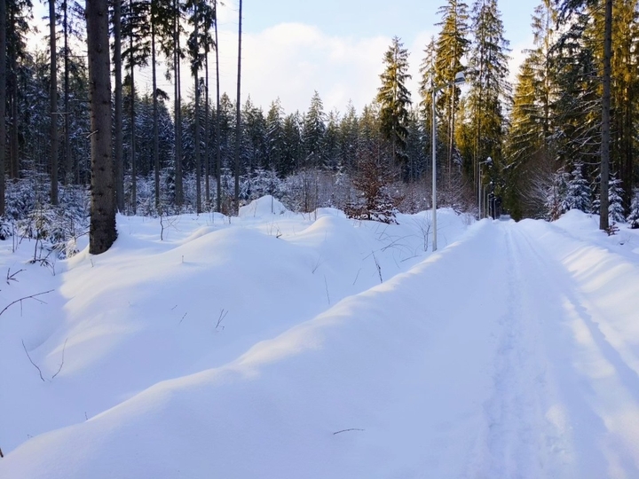 winter