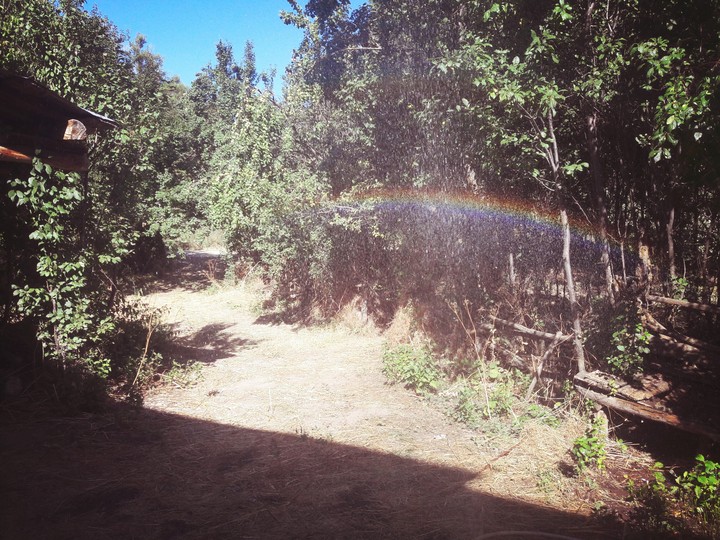 Rainbow