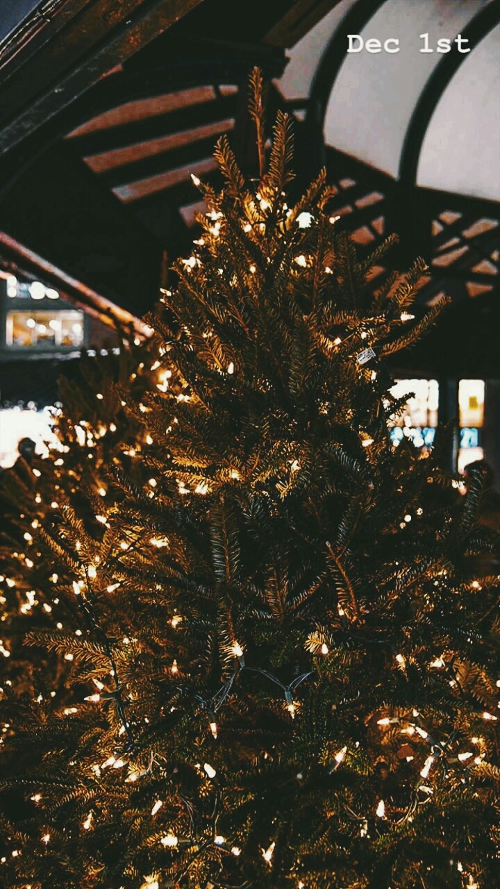Dec 1st