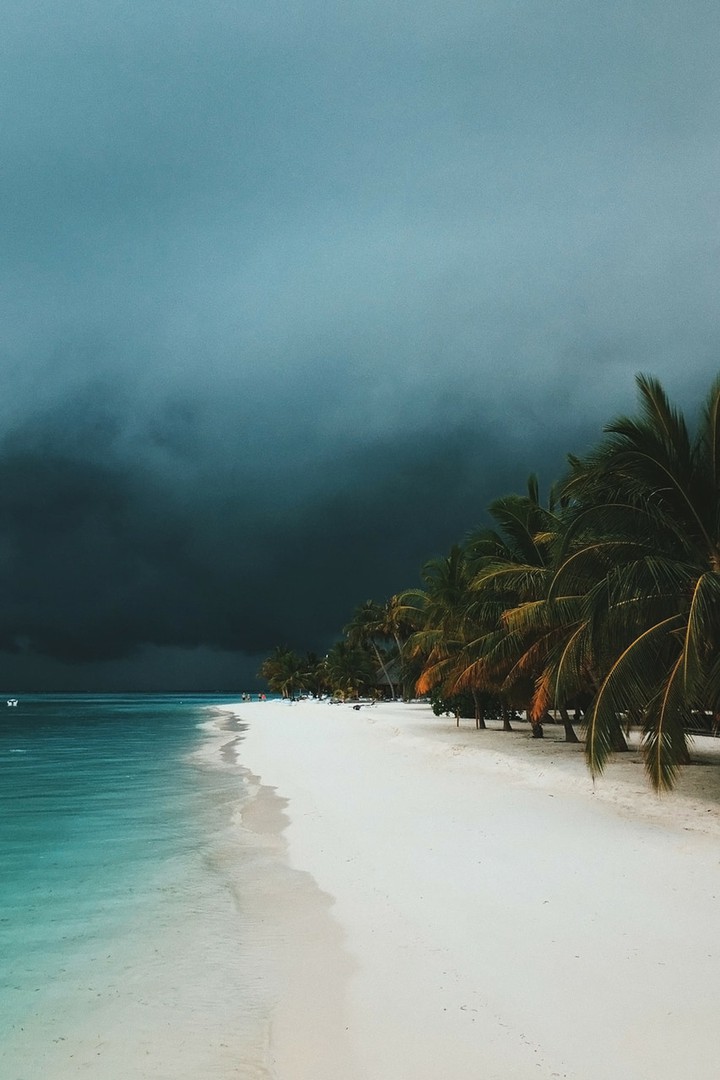 Ocean