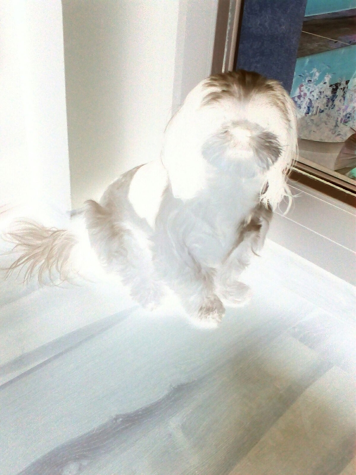 To luna