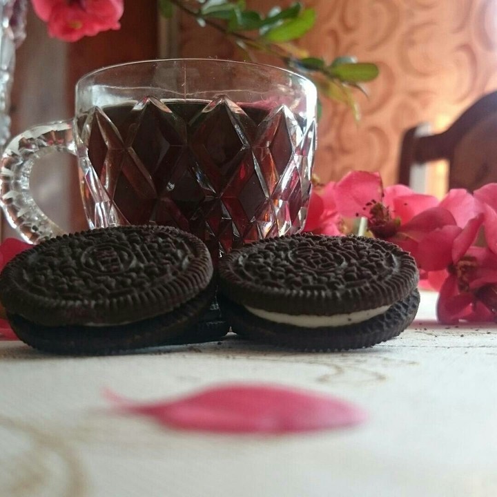 кава ☕, сакура, дім, затишок, печеньки
