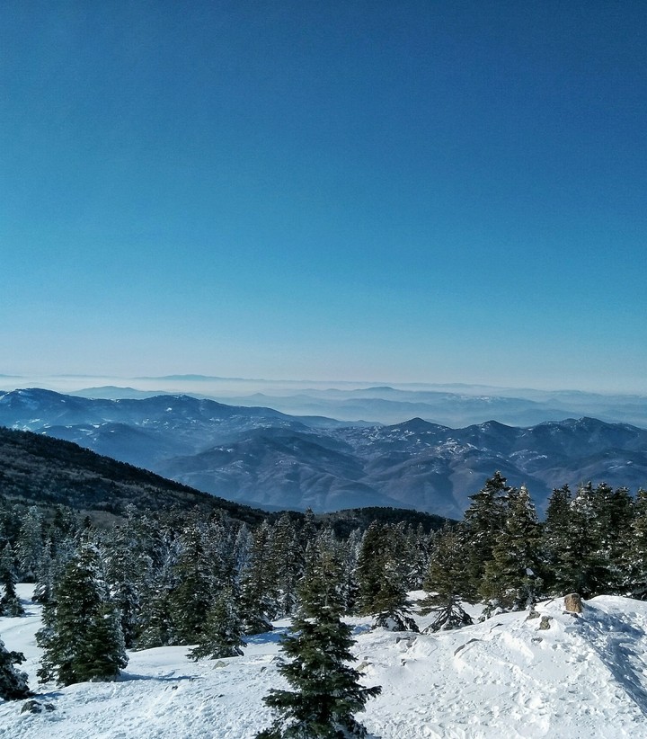 Sky