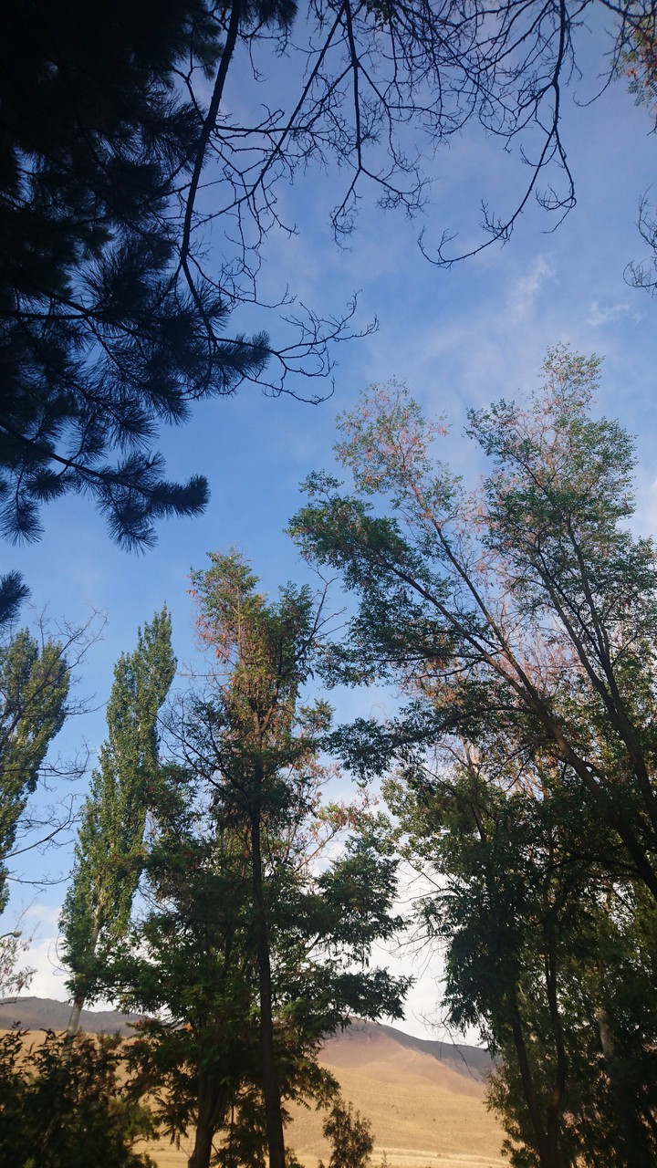 after rain