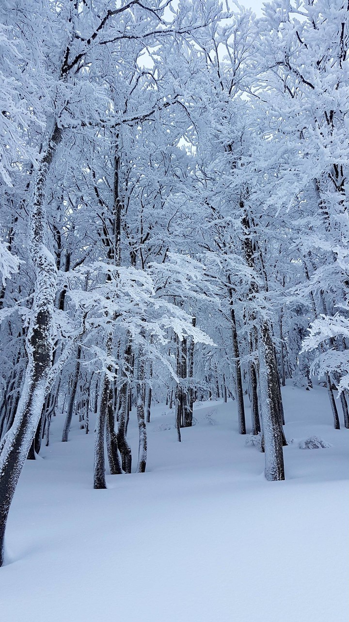 snow