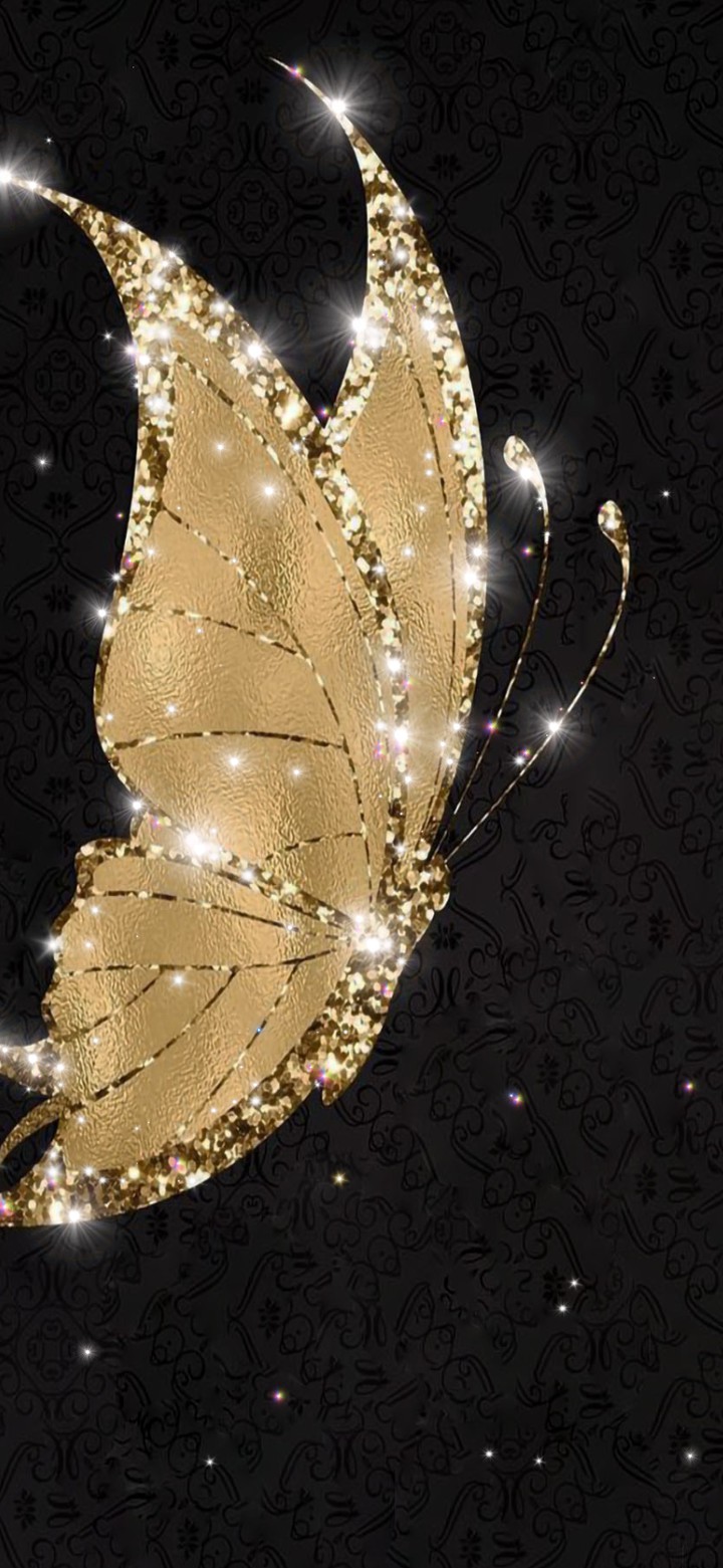 beautiful butterfly