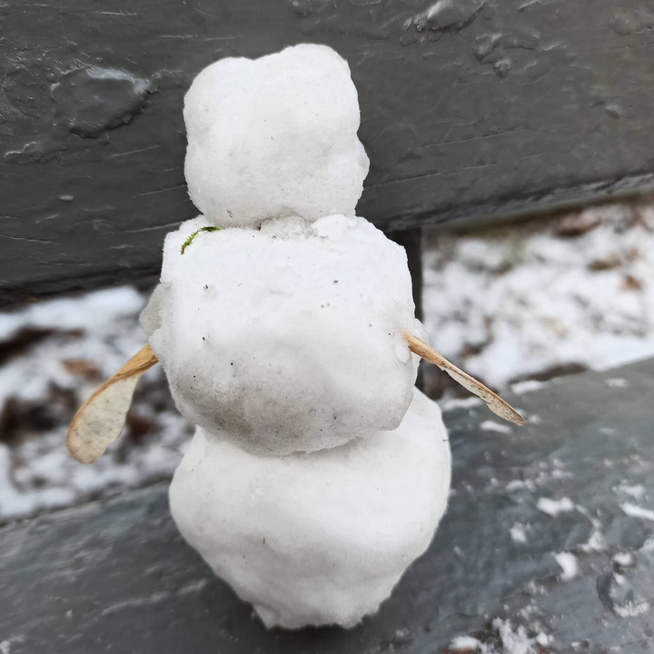 Snowman ☃️ early spring