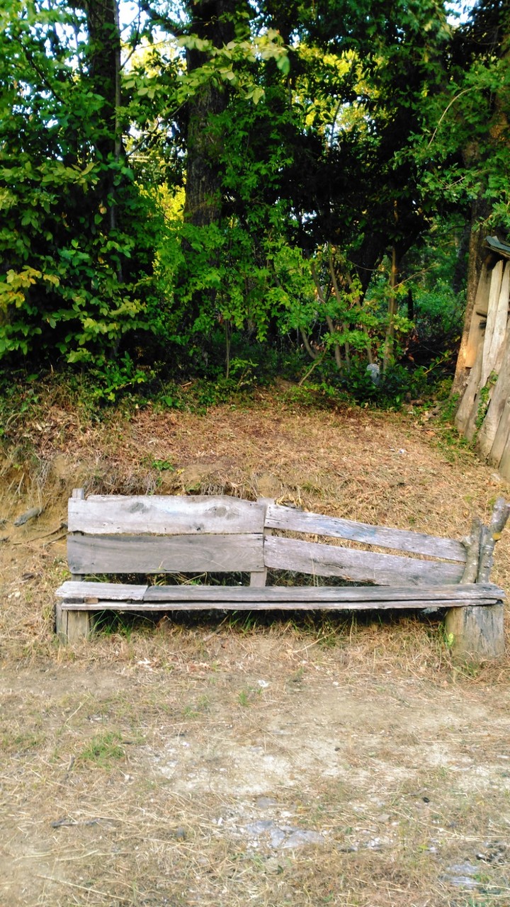 Sinop