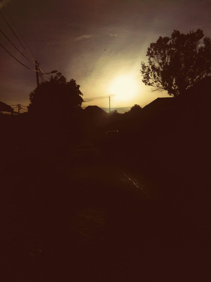 sunshine