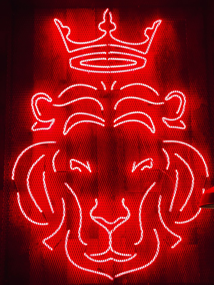 León neón 4k