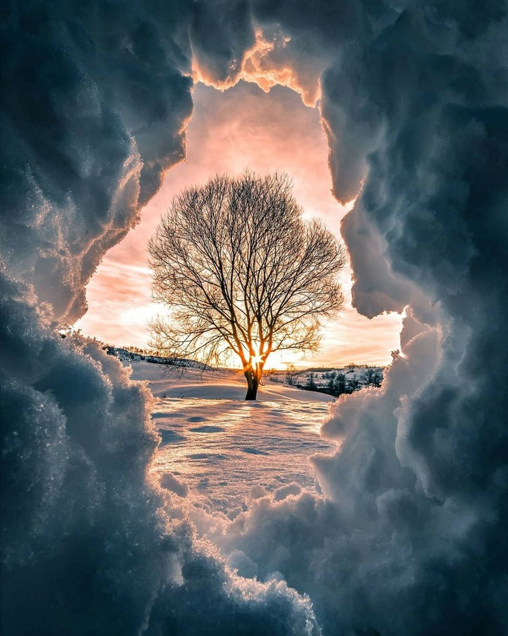 snow