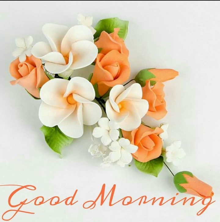 Good Morning Everyone 