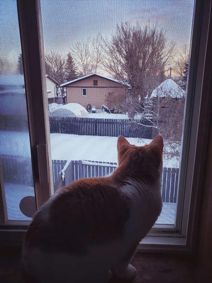 peaceful afternoon