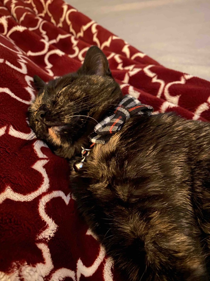 sleep
