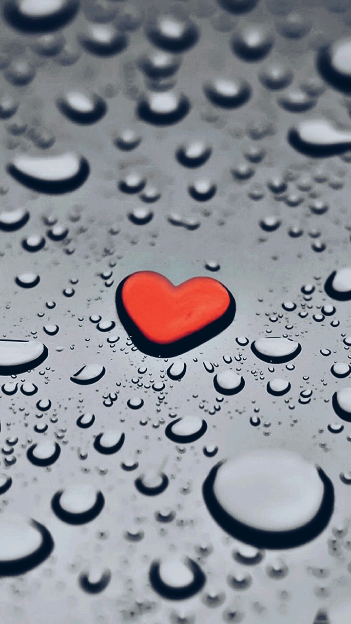 i like this picture ..