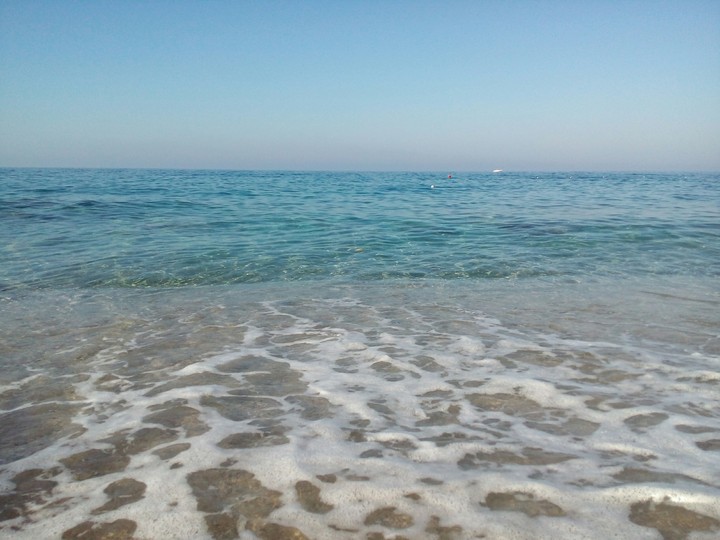 sea...