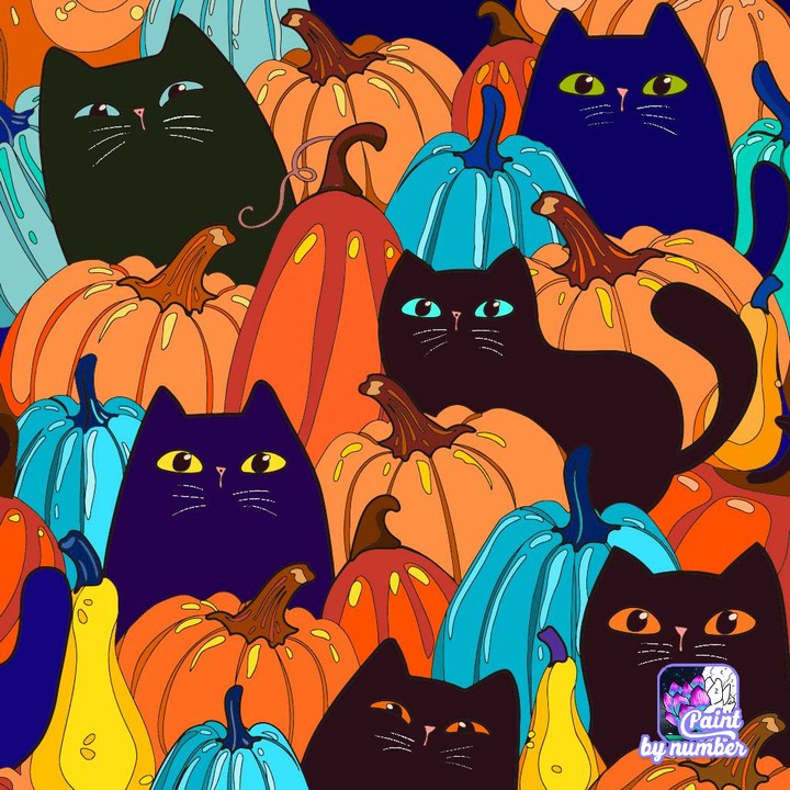 koty halloween