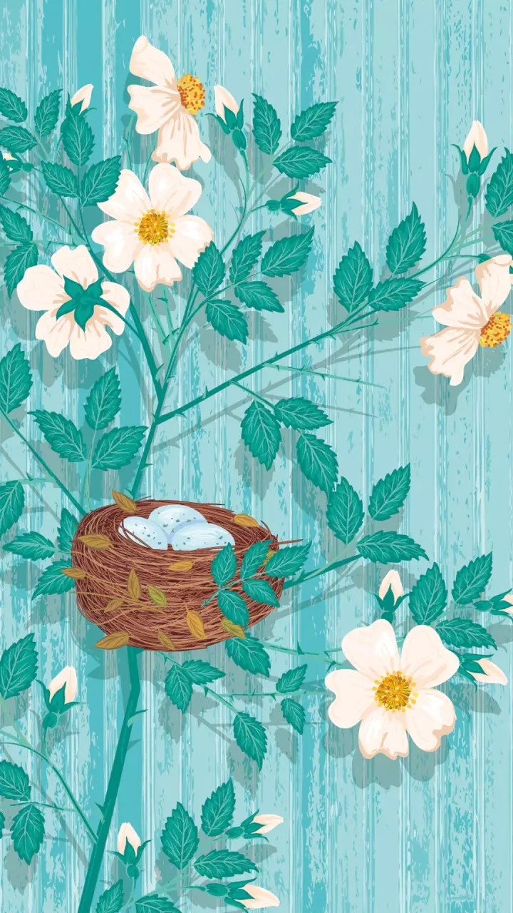 who's eggs??