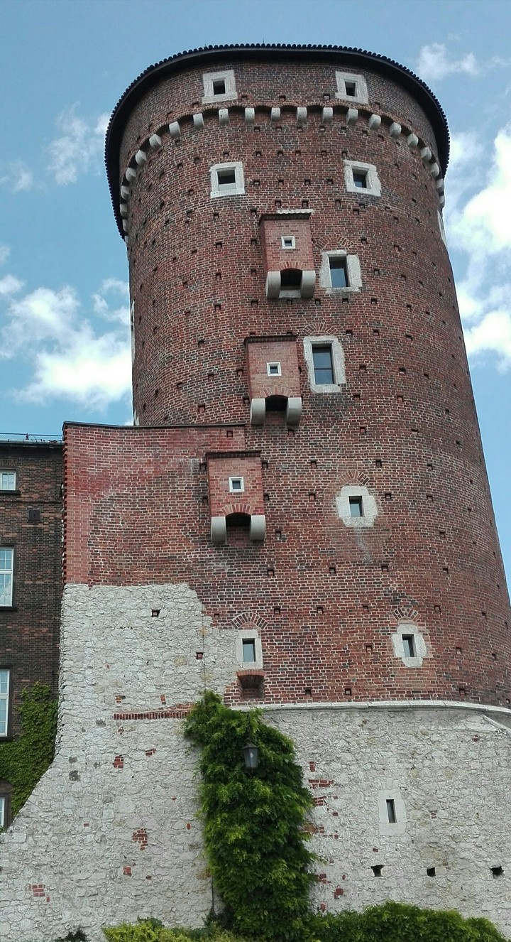 WAWEL