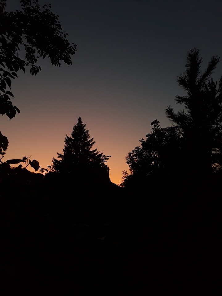 Evening