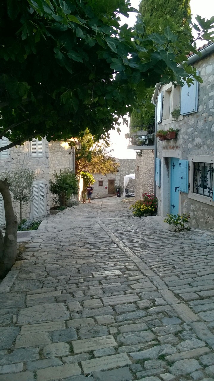 Alley